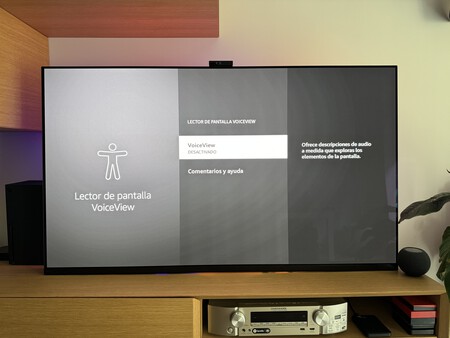 VoiceView