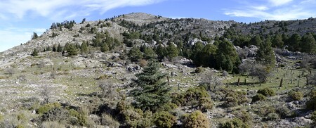 1920px Panoramica Area De Turquillas En Sierra De Las Nieves Malaga