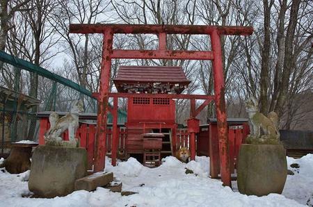Si os gustó “Bailando con Lobos” tenéis que visitar el Zao Fox Village en Japón
