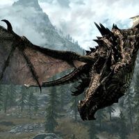 Este jugador de Skyrim ha cumplido su sueño casándose con un dragón. El precio a pagar ha sido casi romper el juego