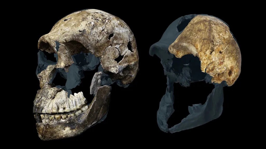 El yacimiento fósil más controvertido de la evolución humana se ha vuelto aún más desconcertante: ¿Por qué solo hay mujeres?