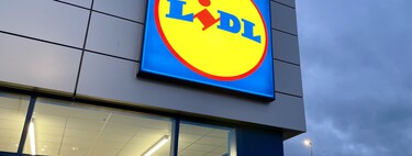 Los mosquitos ya están aquí: Lidl tiene la solución más barata de olvidarte de ellos