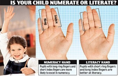 Los niños con el dedo anular más largo que el índice son mejores en matemática