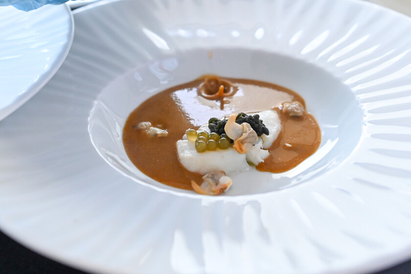 Ganador Sopa Pescado