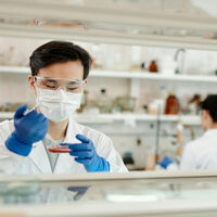 China é incomparável em baterias e painéis solares, e está prestes a superar também as empresas farmacêuticas ocidentais 