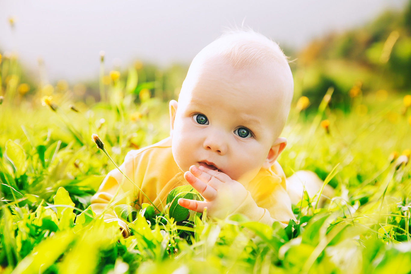 cual es la temperatura corporal de un bebe de 2 años