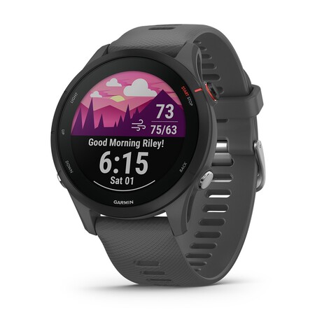 Garmin Forerunner 255 2
