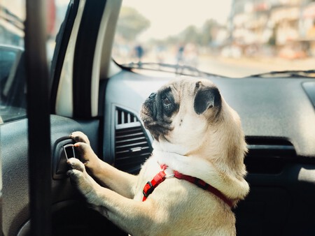 Anand Thakur 6v4xzegfbt0 Unsplash