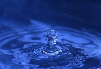 Todo por ganar, nada a perder en el mundo de los negocios