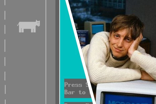 Bill Gates Donkey