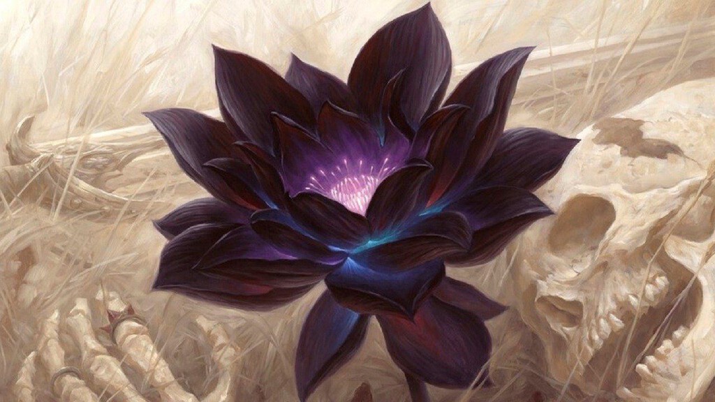 Una Black Lotus firmada es la carta más cara de la historia de Magic. Ahora ha aparecido otra igual para romper el récord Una Black Lotus firmada es la carta más cara de la historia de Magic. Ahora ha aparecido otra igual para romper el récord