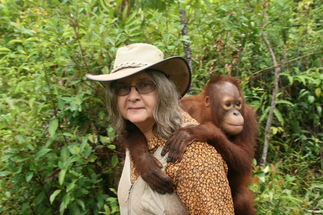 birute-galdikas-orangutan