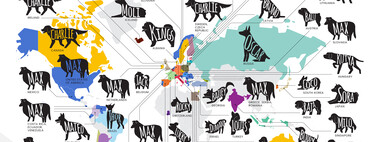 El mapa con los nombres de perro más populares del mundo (el de España aquí lo teníamos muy claro) 