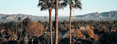 Así es cómo Mark Zuckerberg ha transformado un barrio idílico de familias ricas de California en su ciudad-búnker, según sus vecinos