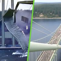 El colapso del puente más famoso del mundo no solo mató a un perrito: también cambió las reglas de la ingeniería para siempre 