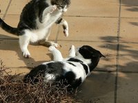 El mejor defensor de nuestros clientes (deberíamos ser)  nosotros mismos