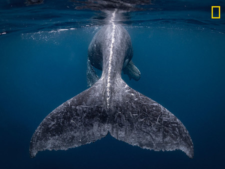 Estas son las imágenes ganadoras del certamen National Geographic Travel Photographer of the Year 2018