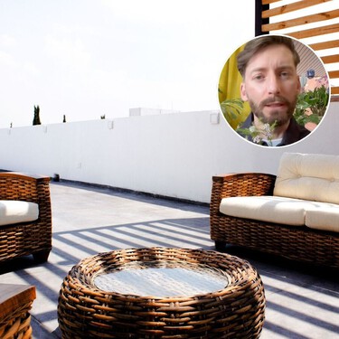 Adri de la Torre, experto en plantas: “Has probado con todo y todo se te ha muerto”. Estas son las cinco especies que sí sobreviven al sol de tu terraza	 