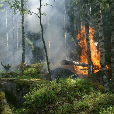 El humo viaja cientos de kilómetros y puede acabar en tus pulmones: cómo un incendio afecta a la calidad del aire y cuándo preocuparte
