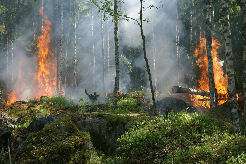 El riesgo invisible de los incendios en España: la calidad del aire puede ser equivalente a fumar nueve cigarrillos aunque no tengamos un incendio cerca