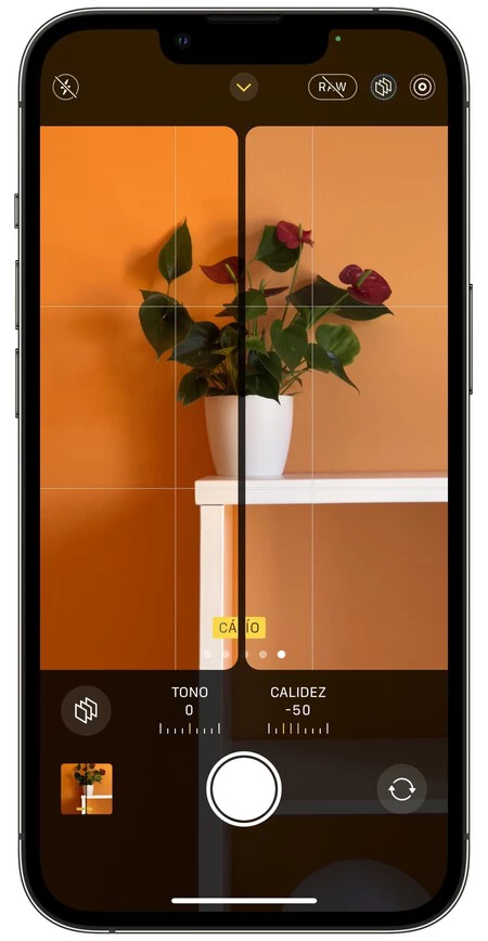 2022年5月13日金曜日 12 25 39
