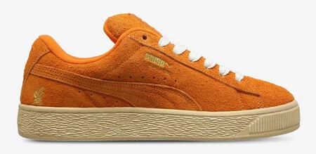 Puma2