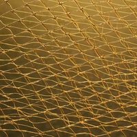 Han descubierto por casualidad un nuevo material que puede ayudar a la producción de hidrógeno verde: una mezcla entre oro y grafeno