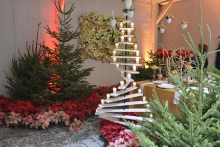 9 ideas originales para decorar con poinsettias en Navidad