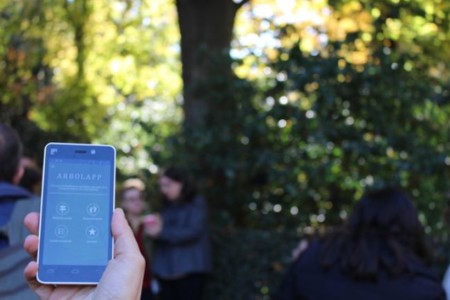 Identifica árboles con esta app: Arbolapp