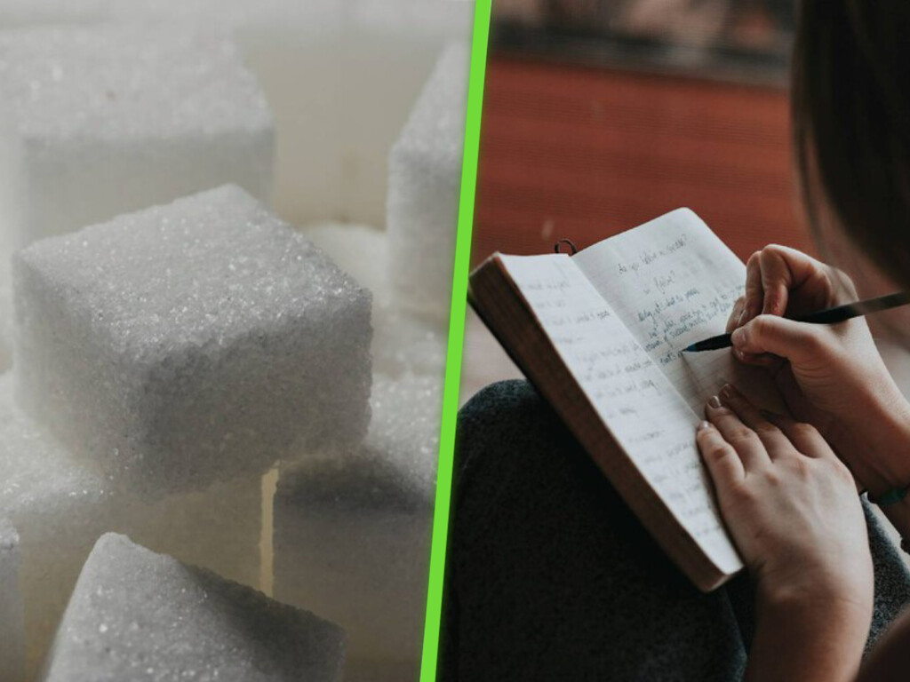 Después de estudiar a unas moscas, estos científicos llegaron a una conclusión: comer azúcar tras estudiar es buena idea