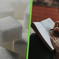 Después de estudiar a unas moscas, estos científicos llegaron a una conclusión: comer azúcar tras estudiar es buena idea