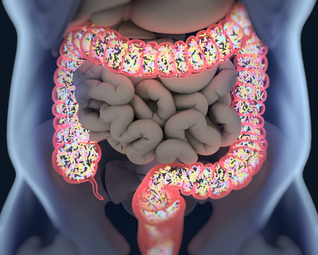 Estas son las razones por las que es importante que cuides tu flora intestinal (y los alimentos que te ayudan a conseguirlo)
