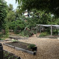 Un vecino montó un huerto en un patio privativo de su casa pero la comunidad le ha llevado a juicio y ha tenido que quitarlo 