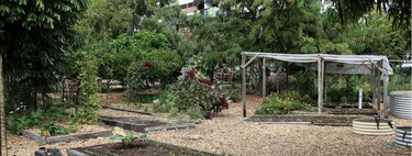 Un vecino montó un huerto en un patio privativo de su casa pero la comunidad le ha llevado a juicio y ha tenido que quitarlo 