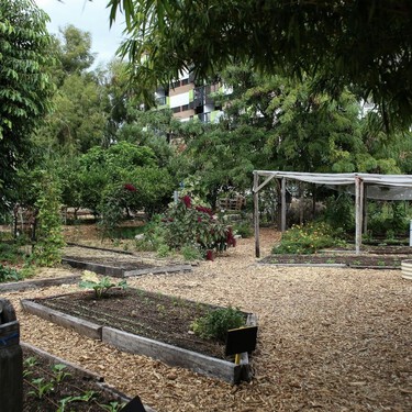 Un vecino montó un huerto en un patio privativo de su casa pero la comunidad le ha llevado a juicio y ha tenido que quitarlo 