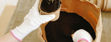 La tierra de las macetas también se estropea: así debes conservarla cuando no tienes plantas