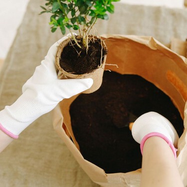 Así se mantiene la tierra de las plantas en buen estado: aquella todavía sin uso y la que está en macetas vacías 