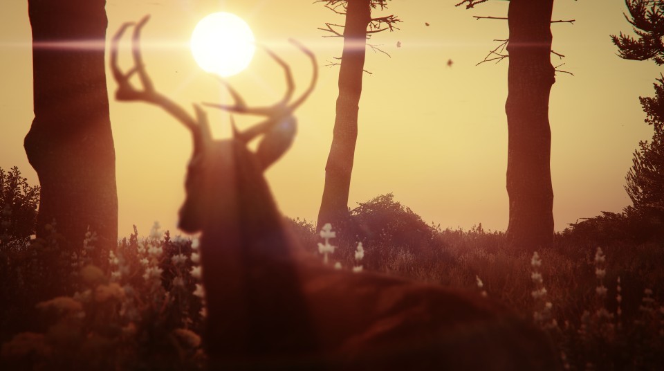 Foto de Fotografía en GTA V (18/18)