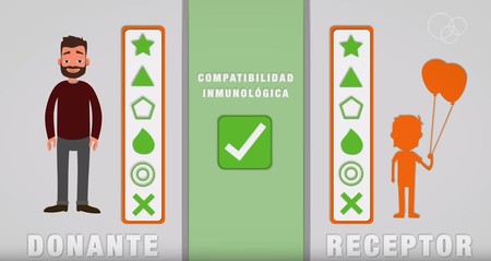 donación de médula