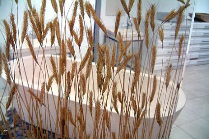Un baño de aire campestre