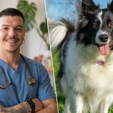 Adrián Conde, veterinario: "No recomiendo tener un Border Collie en casa con niños, porque es un perro de trabajo y si no le damos las necesidades adecuadas se puede estresar" 
