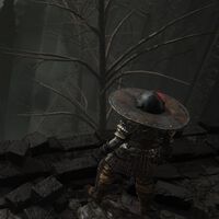 El argumento definitivo contra el debate de la dificultad en el DLC de Elden Ring es un mapa de coleccionables