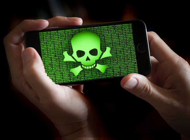 Malware PayPal