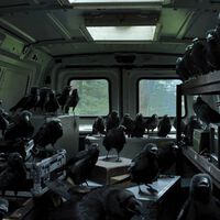 Esta exitosa serie de fantasía de Netflix es imparable y ya ocupa el puesto número 4 entre las más exitosas de la historia de la plataforma