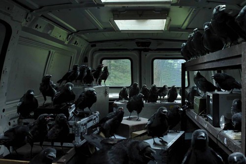 Fotograma de 'Miércoles'