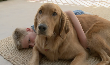 El poder sanador de las mascotas: la historia de un niño con autismo y su golden retriever