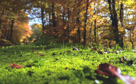 Consejos Composicion Fotografia Paisajes Profesional 10