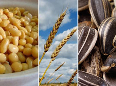 Consejos para incrementar la fibra en tu dieta
