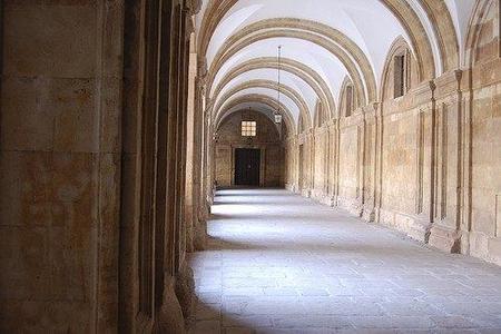 ¿Qué son los colegios profesionales?