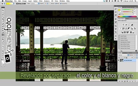 Revelando por separado el color y el blanco y negro